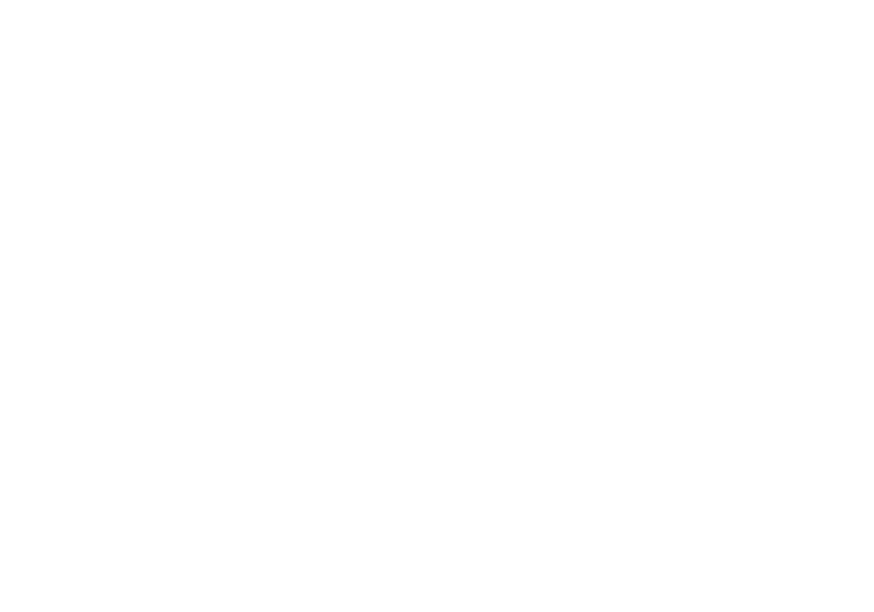 Icona Connessione Ares